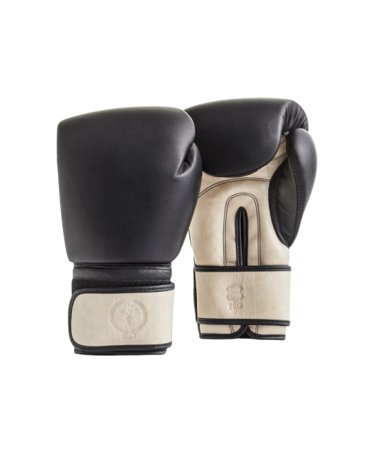 Luxury Boxing Gloves